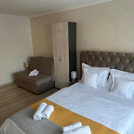 Vila Davison Târgu Jiu 외부 사진