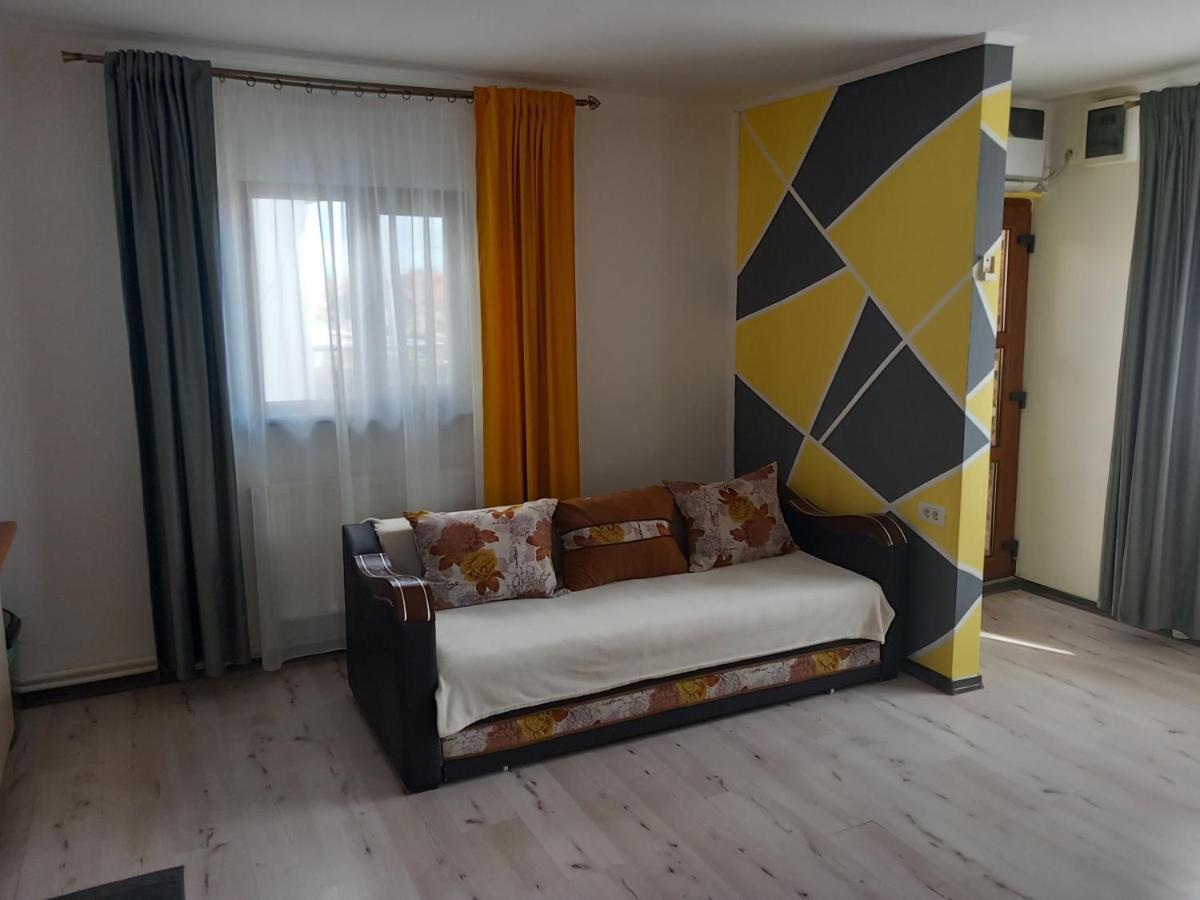 Vila Davison Târgu Jiu 외부 사진