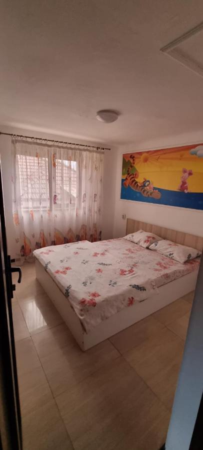 Vila Davison Târgu Jiu 외부 사진