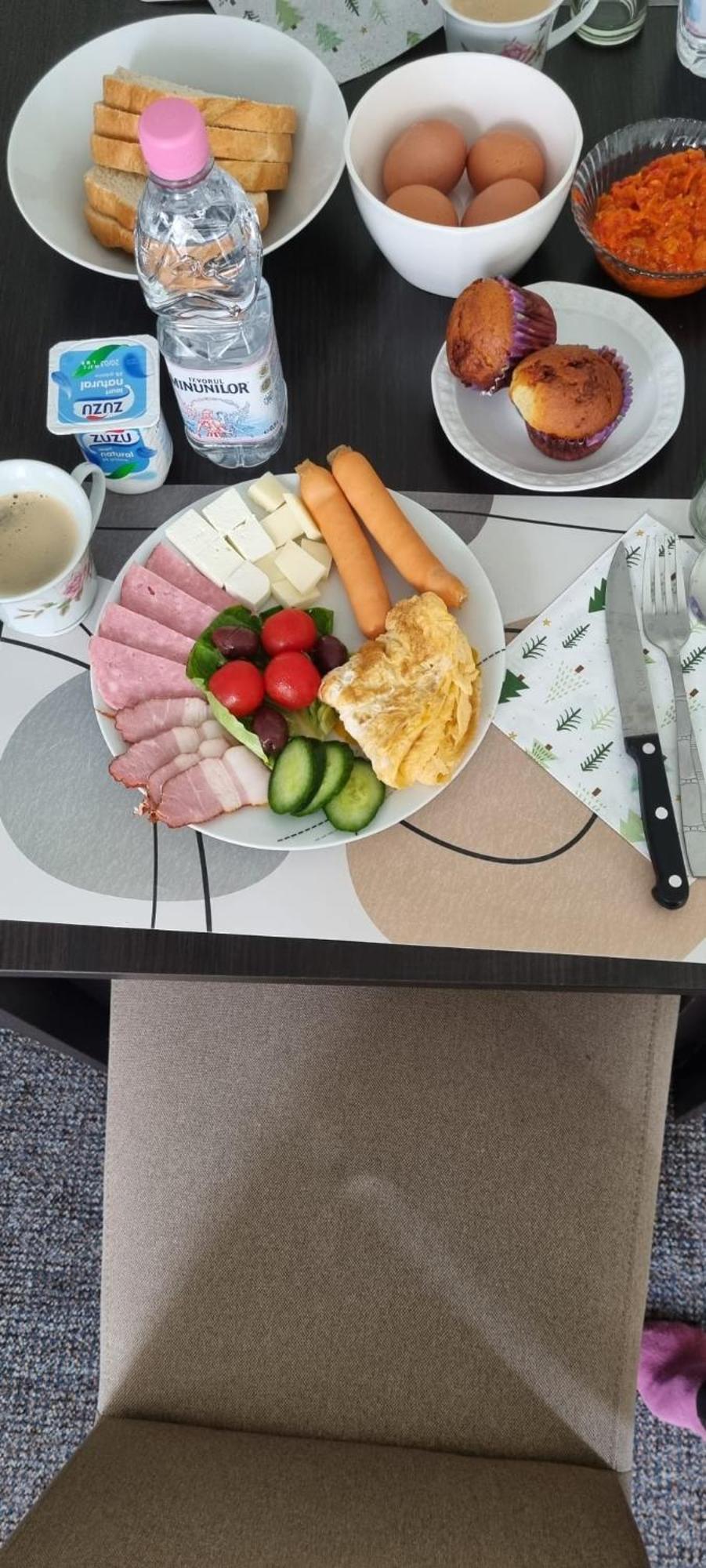 Vila Davison Târgu Jiu 외부 사진